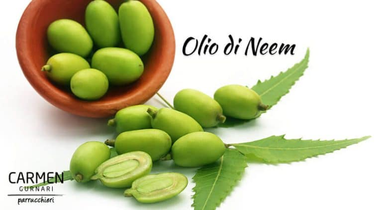 Olio di Neem: Proprietà di un Eccellente Prodotto Naturale