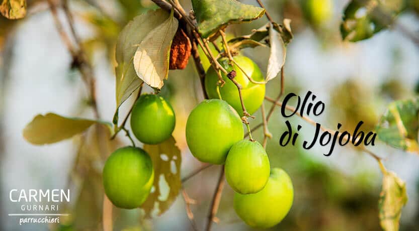 Olio di Jojoba Capelli e i Prodotti Naturali di StaiFonata